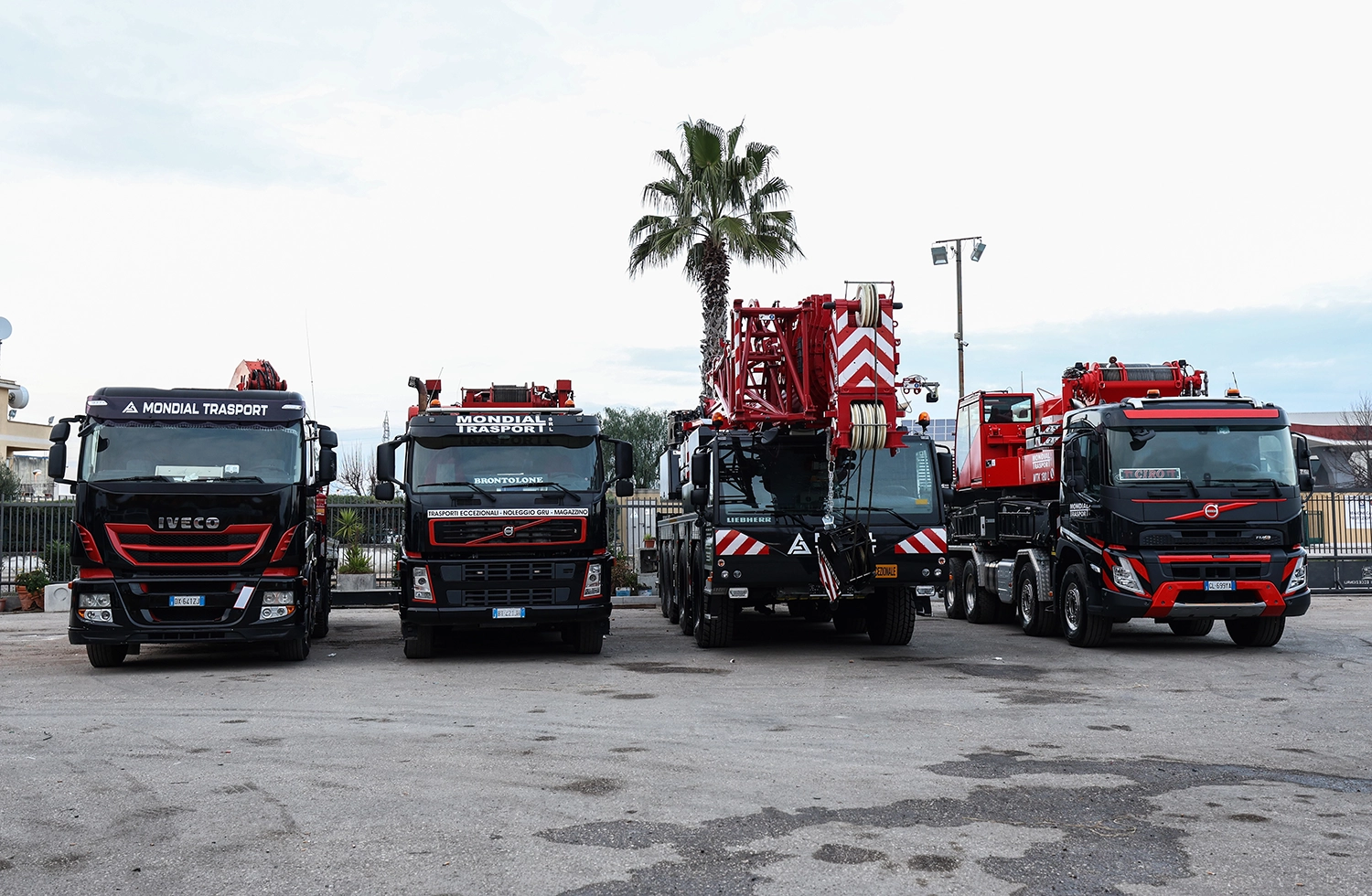 Mondial Trasport Flotta